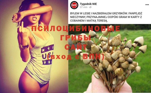 первитин Абдулино