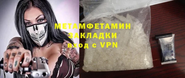 прущие грибы Абаза
