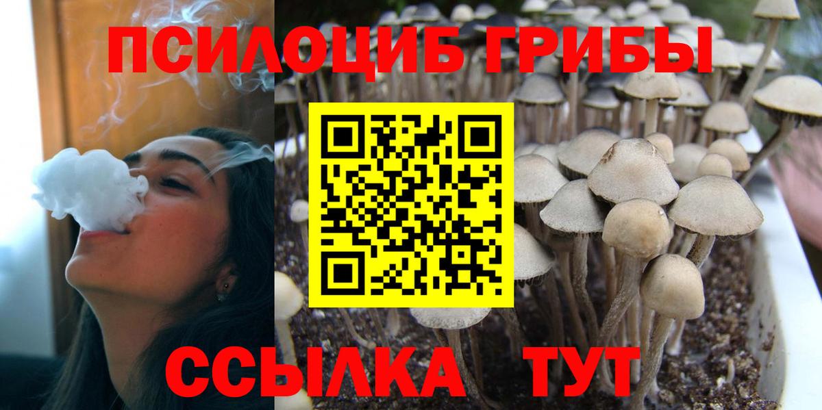 Россошь  Галлюциногенные грибы ЛСД  Галлюциногенные грибы Psilocybe  Вход с VPN 