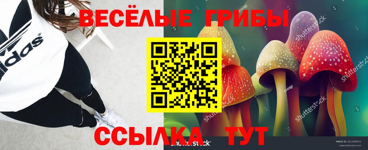 Псилоцибиновые грибы GOLDEN TEACHER Россошь