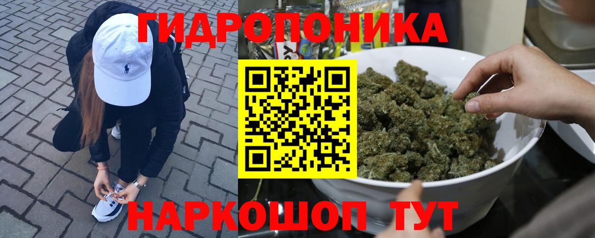 Конопля гибрид  Конопля Bruce Banner  Россошь  Бошки Шишки Ganja 